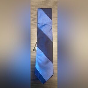 Express Navy and Sky Blue Diagonal Tie
